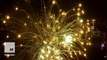 Sydney celebrates New Year with massive fireworks display