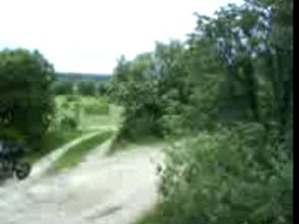 MOV04810