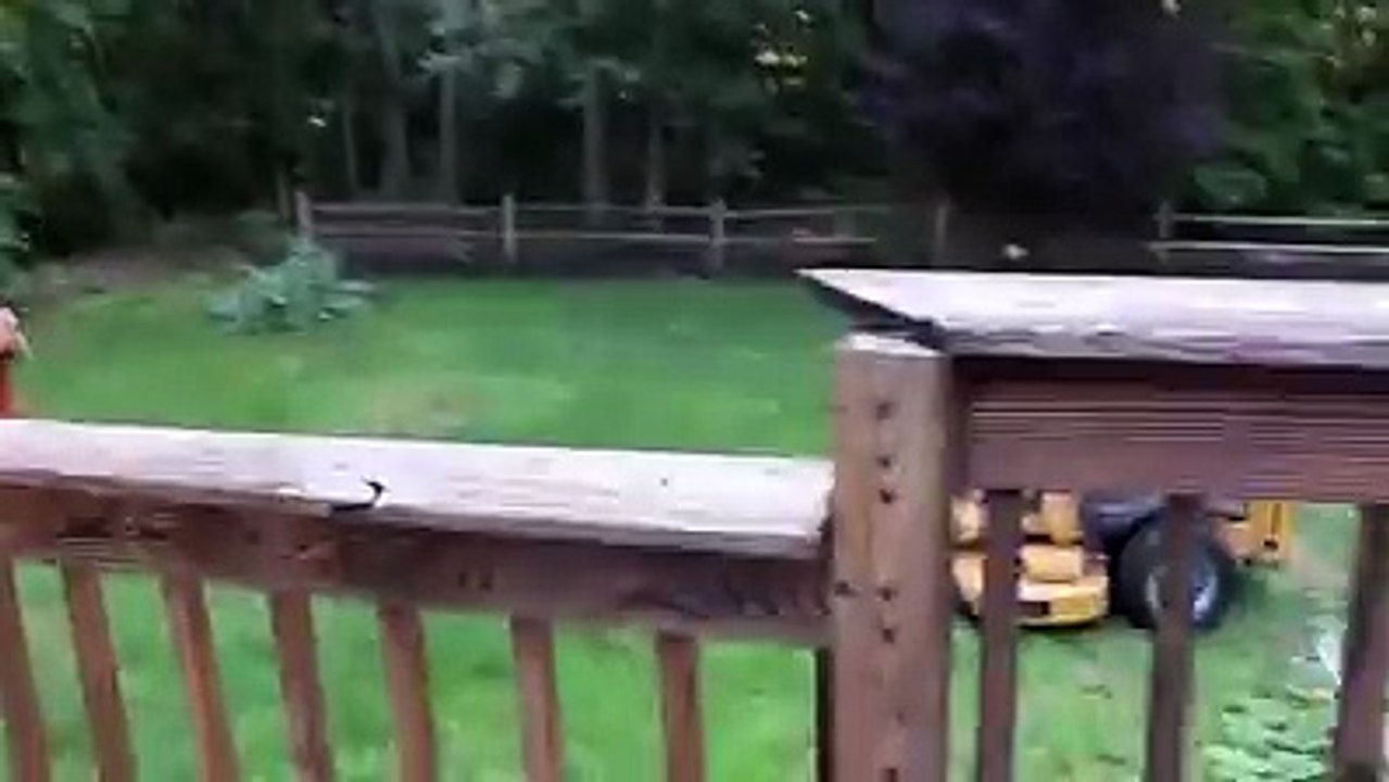 funny parank video 2016