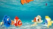 Finding Nemo Finger Family Songs | Finger Family Fish Cartoon Animation Nursery Rhymes for