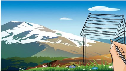 What's Donkey? Ker Çîye? Eşek Nedir?