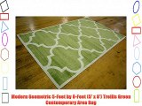 Modern Geometric 5-Feet by 8-Feet (5' x 8') Trellis Green Contemporary Area Rug