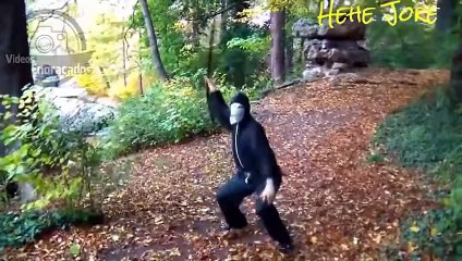 Videos engraçados 2015 Pra morrer de rir parte 526