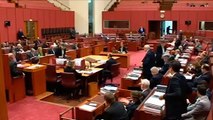 Liberal Senator says 'learn to speak Australian, mate'