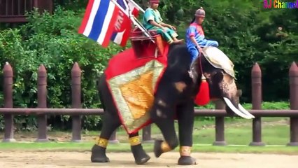 Chú Voi Con Ở Bản Đôn ✔ REMIX ✔ Nhạc Thiếu Nhi Hay Nhất