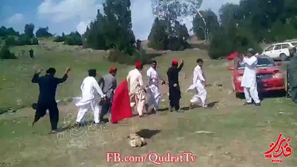 pashto Amazing Attan ANP