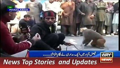 ARY News Headlines , Monkey Expression for Year 2015 and Year 2016 , 31 December 2015