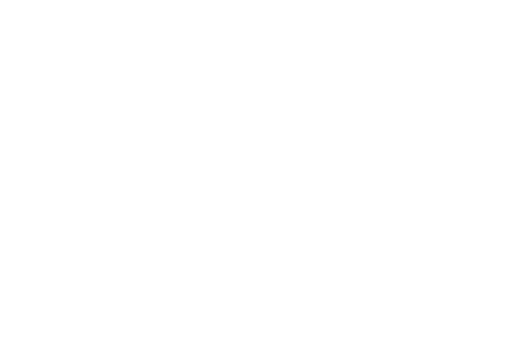 Gaziantep- Siverek ve İslahiye, Yeni Yıla Silah Sesleriyle Girdi