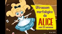 Ultrassom morfológico da Alice com 22 semanas