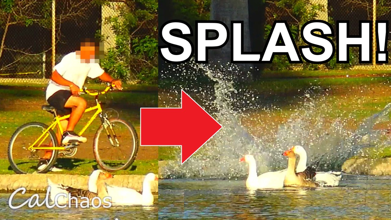 Fishing People INTO A Lake Prank In The Hood! Bait Bike Prank Part 2 -  Farces Dans La Hotte(Social Experiment)