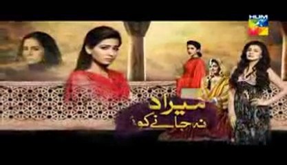 Mera Dard Na Jany Koi Episode 46 Full HUM TV Drama 31 Dec 2015