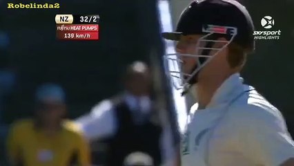 Dale Steyn - PAIN. Refuses to apologise ; for smashed box.