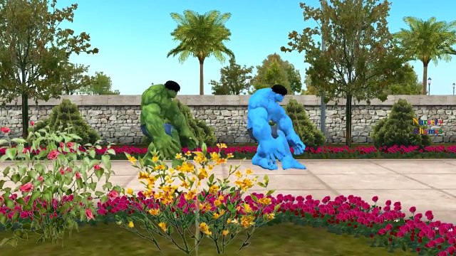 Hulk Mega Fighting And Singing Finger Family Nursery Rhymes For Children And Kids