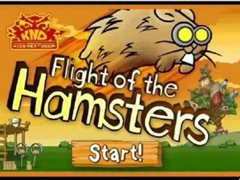 Hamster Aire Force One