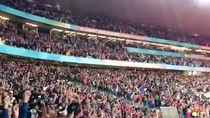 Blackcaps v SA CWC Semifinal 2015 - Match Winning Ball -