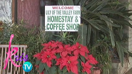 Kris TV: True love's organic farm