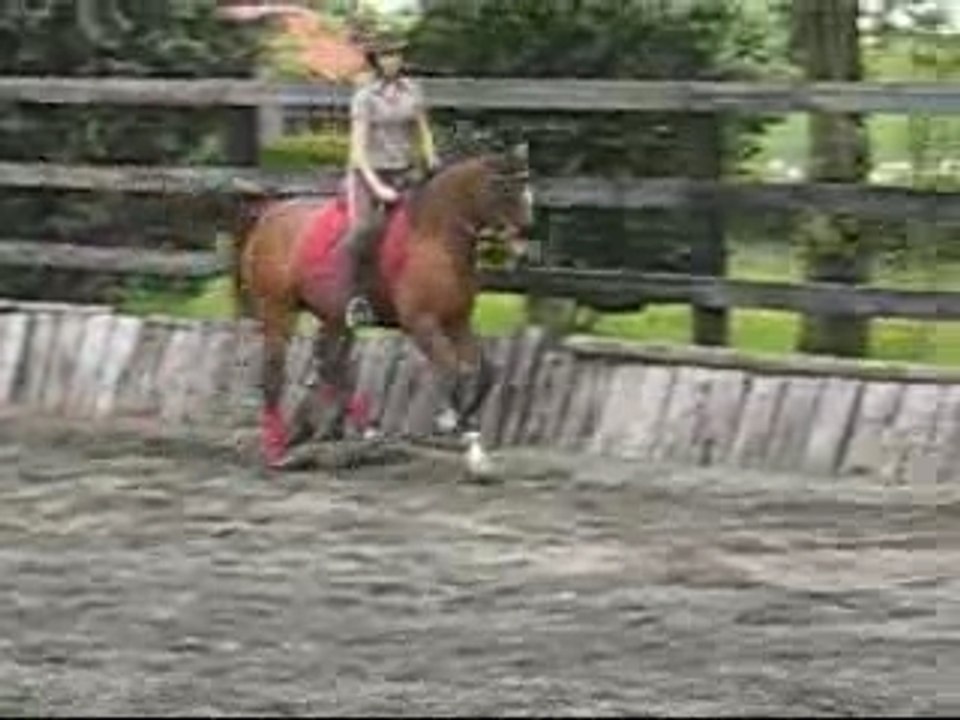 Coursdressage