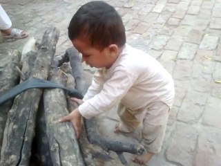 little baby trying to pick up a bundle of woods