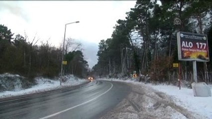 Yaban Hayvanları İçin Doğaya Yem Bırakıldı