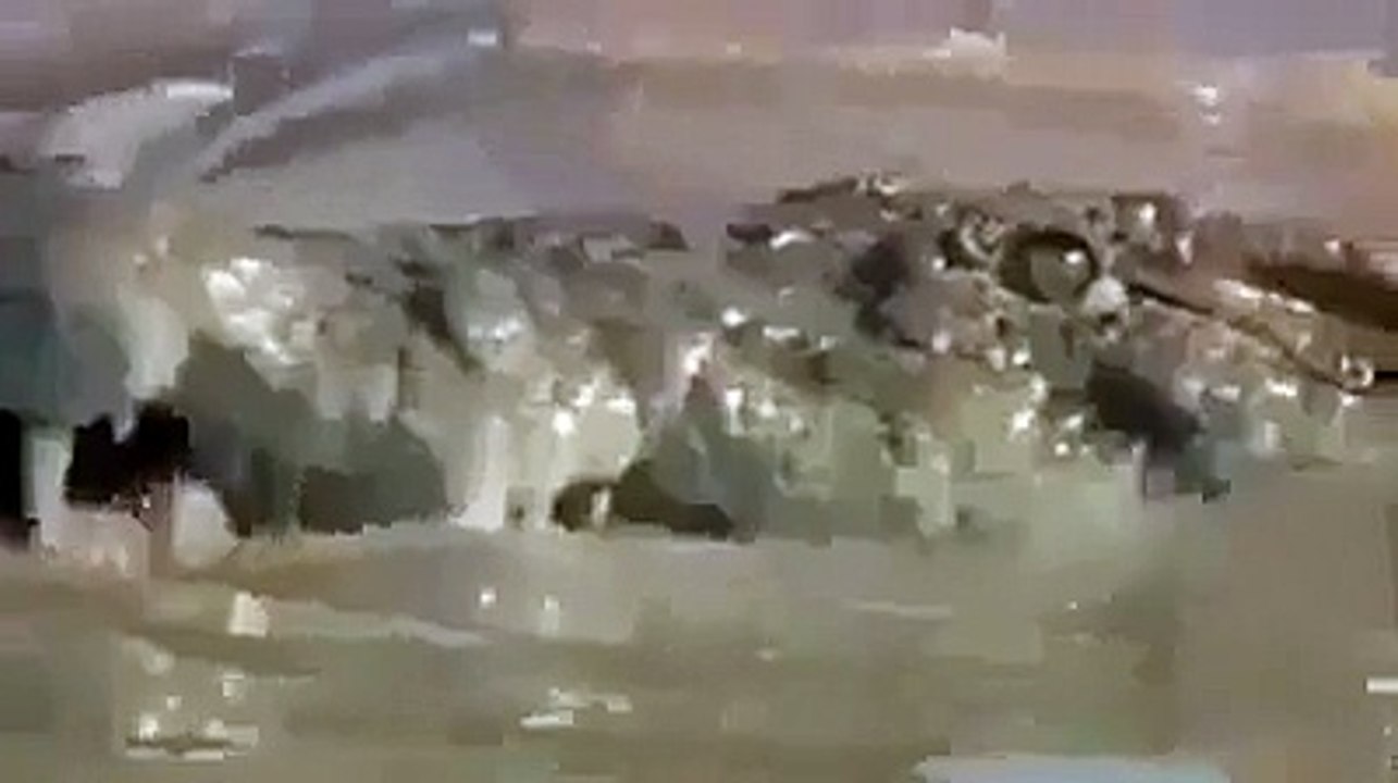 Crocodile got scared from a lion