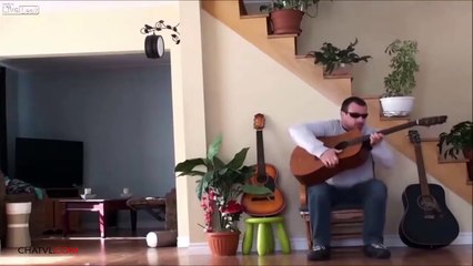 Thug Life - Ultimate Cats Thug Life Compilation - Funny videos