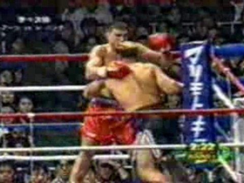 lebanner vs aerts 1999