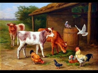 Ali Babanın Çiftliği. İngilizce Versiyon