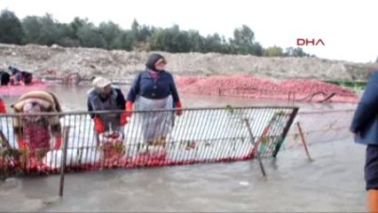 Kadirli MHP'li Tarhan'dan Turp İşçilerine Yılbaşı Ziyareti