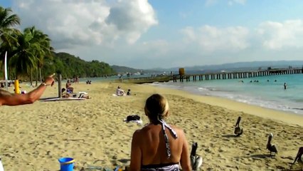 Dance Like A Pelican, Not Like A Pelicanât