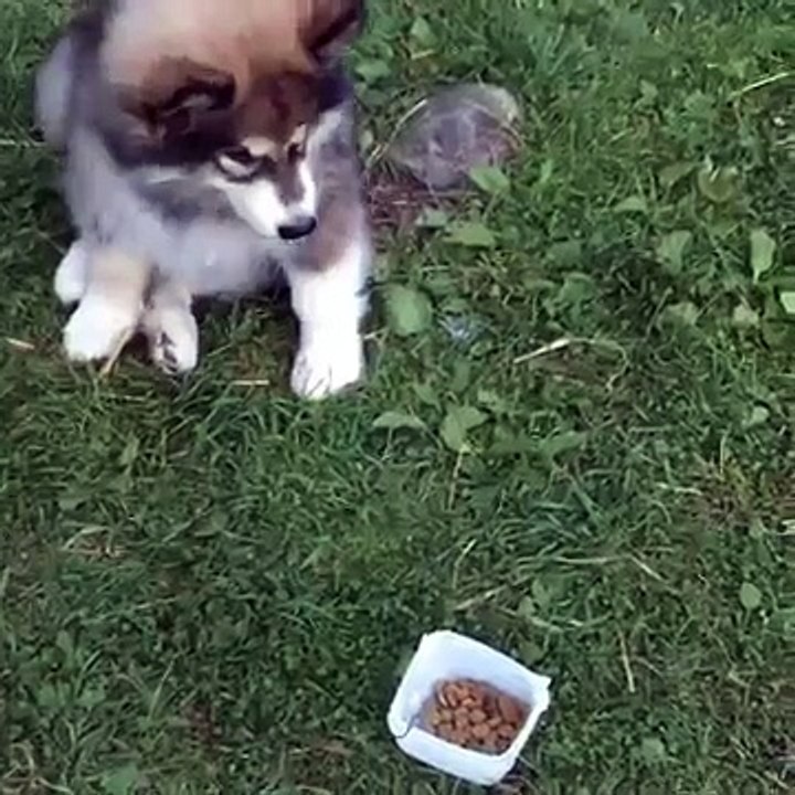 That Feeling When Youâre Stuck At The Kidâs Table