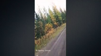 Dual Cougar Attack Caught Caught On Camera: Fended Off With Spray