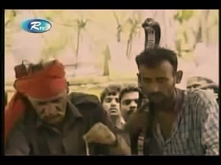 Man eating live cobras!!!