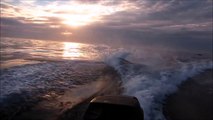 Boat Gets Chased By A Group Of Killer Whales