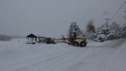 Abant Beyaza Büründü