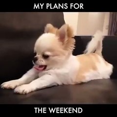 My Plans for the weekend