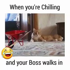 When you're chilling and your boss walks in