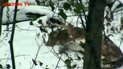 Hunting deer with shotgun slugs in the snow season 2015