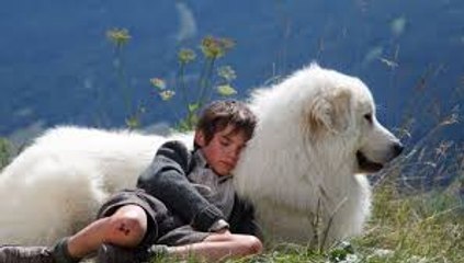 Belle et Sébastien, l'aventure continue Full Movie