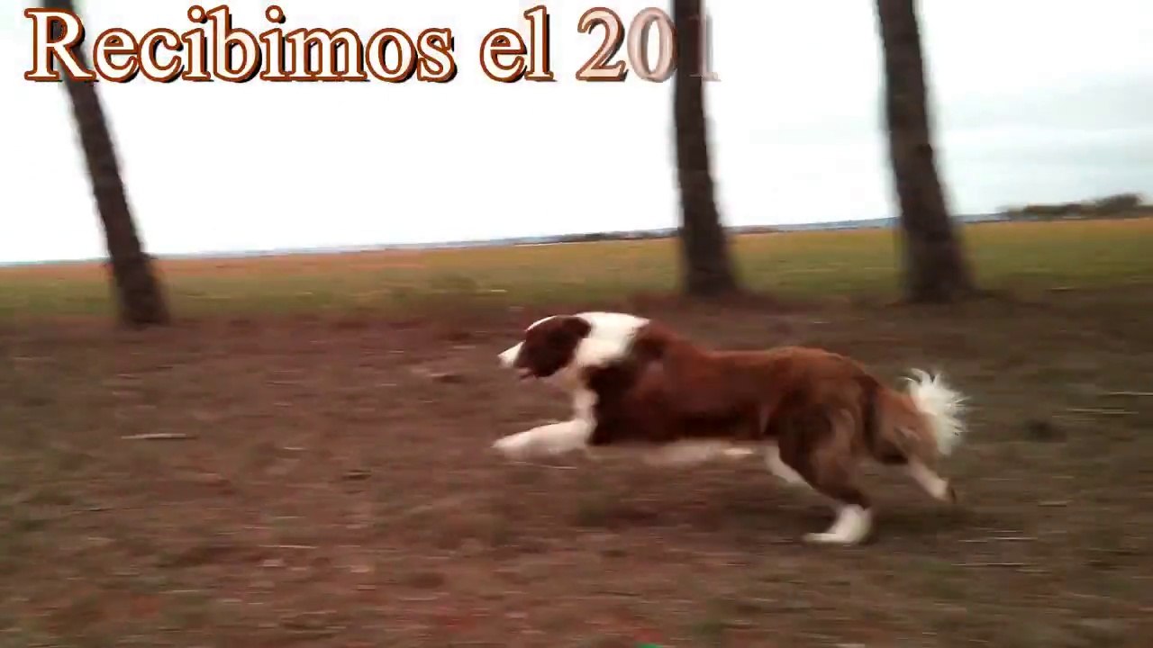 Ya estamos en el 2016...!!!