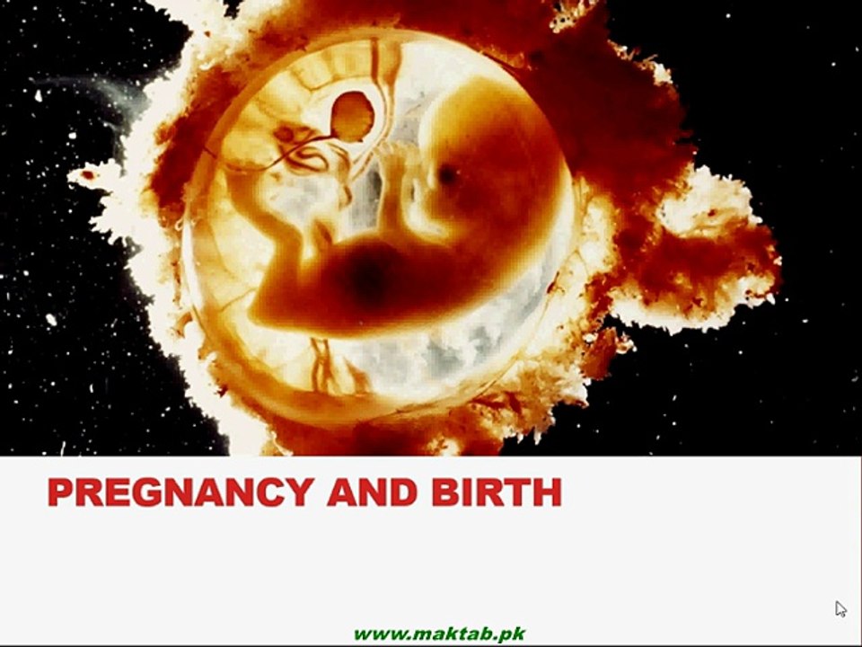 FSc Biology Book2, CH 18, LEC 6; Pregnancy and Birth