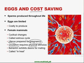 FSc Biology Book2, CH 18, LEC 5; Menstrual Cycle