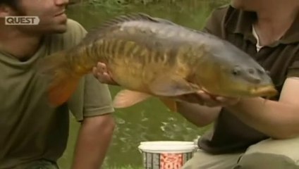 Carp Crew S01E04 Carp On The Pole