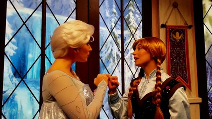 Anna reveals her SIGN LANGUAGE talent  Disneyland