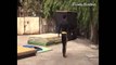 Tiger Shroff's live stunts from HEROPANTI - BEHIND THE SCENES
