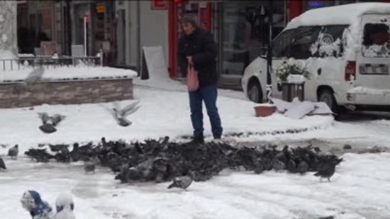 Aç Kalan Güvercinleri Esnaf Besliyor