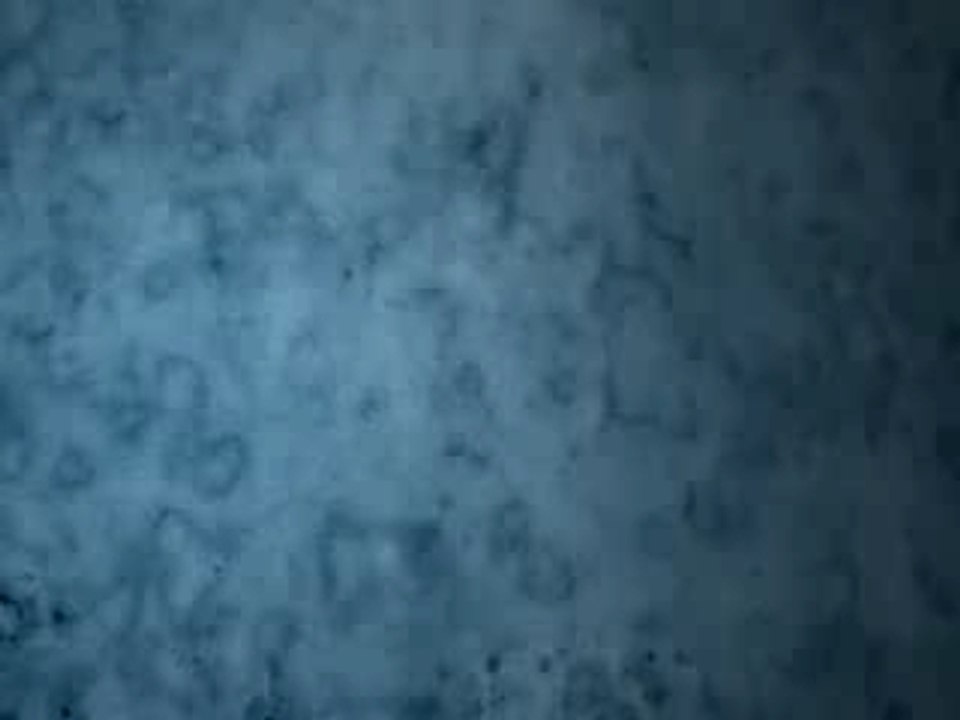 Animation 2 [TWIN]