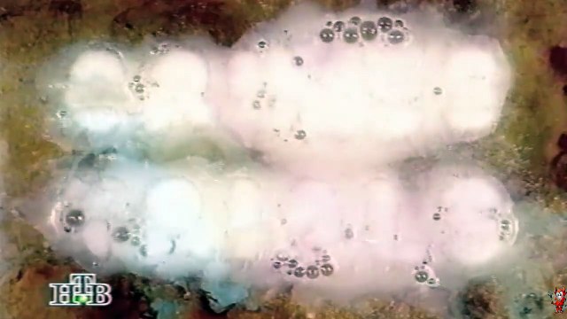 Счастливчик Лучиано и мафия