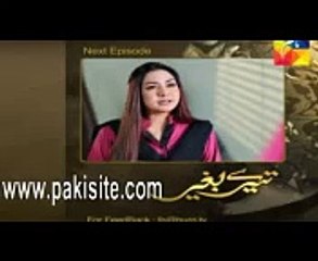 Tere Baghair Episode 9 Promo on Hum Tv