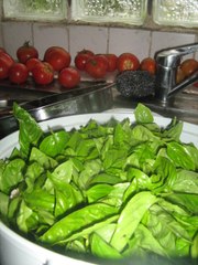 Le 14 juillet de Victor Hugo  ( 2016) version Bentoche