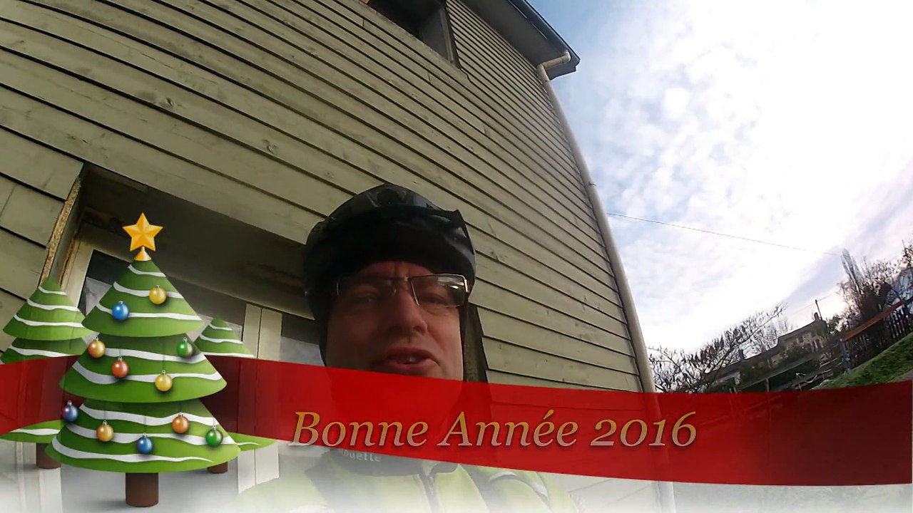 Bonne Année 2016